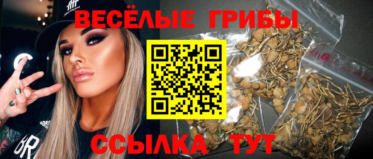 Галлюциногенные грибы MAGIC MUSHROOMS  Вход с VPN  Заинск  Псилоцибиновые грибы Psilocybe 