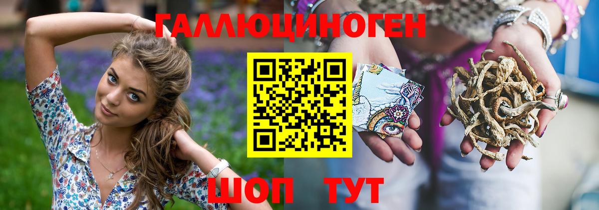 Галлюциногенные грибы мухоморы Заинск
