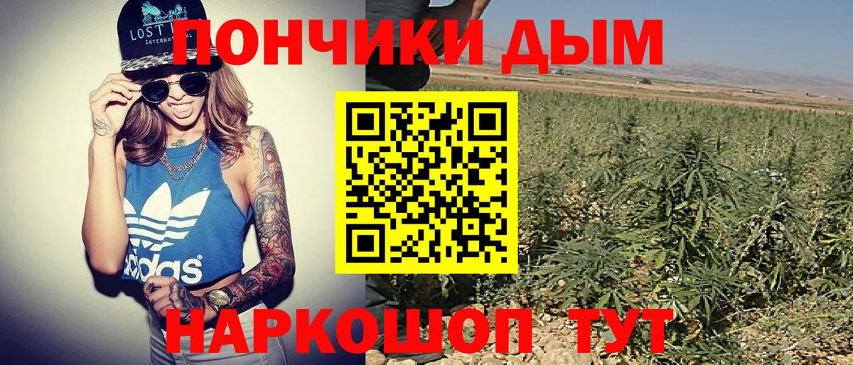 Канабис планчик Заинск
